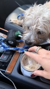 Extra Thick Dog Poop Bags