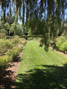The Huntington Library, Art Museum, and Botanical Gardens Pasadena Date Night Ideas